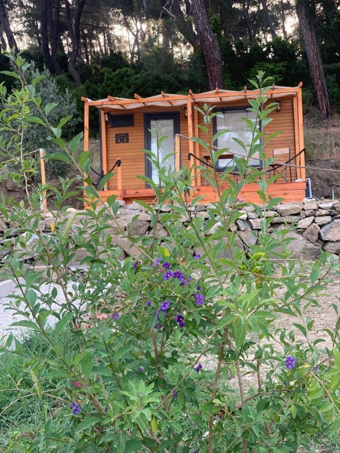 Отель Tiny Mini House Даламан Экстерьер фото
