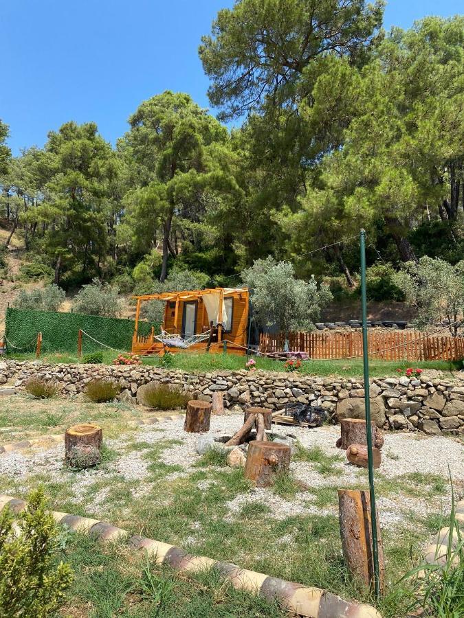 Отель Tiny Mini House Даламан Экстерьер фото